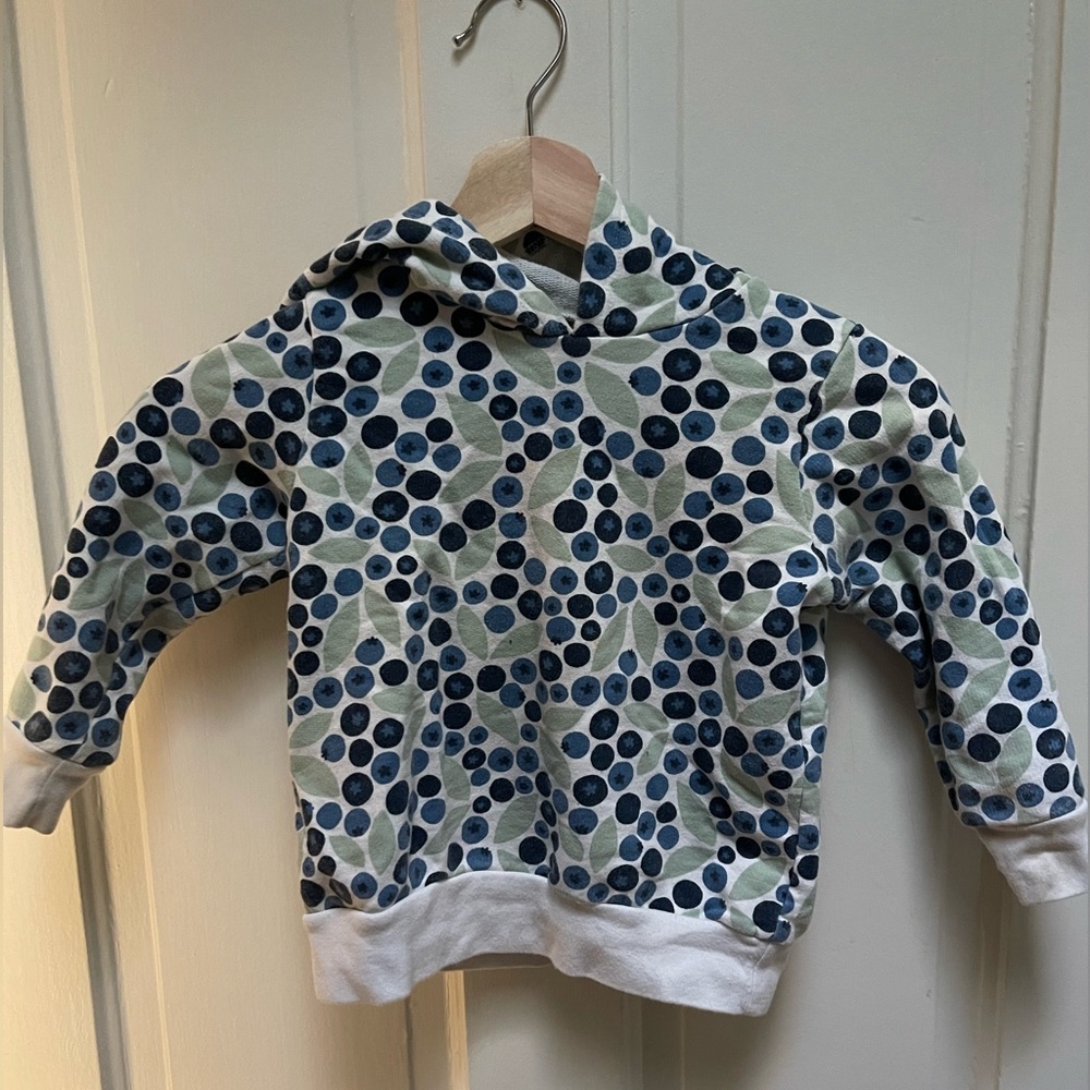 Winter Water Factory Hoodie - 4T